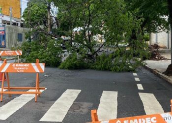 Tempestade no domingo derrubou 94 árvores e causou muitos transtornos em toda a cidade - Foto: Leandro Ferreira/Hora Campinas