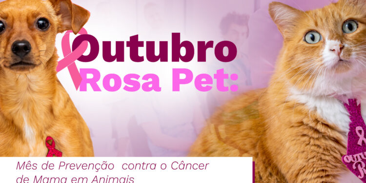 Outubro Rosa Pet é uma campanha que acontece anualmente para conscientizar tutores sobre a importância deste diagnóstico precoce - Foto: Divulgação