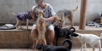 Moradora do Satélite Íris pede ajuda para doação de cachorros