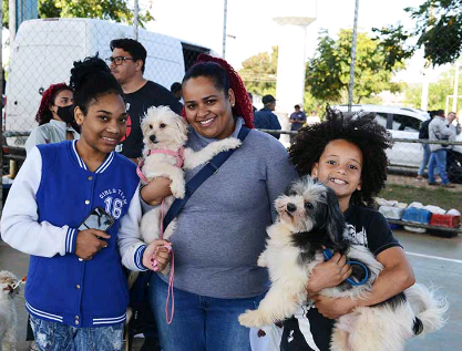 Região dos DICs tem agenda para castração gratuita de cães e gatos