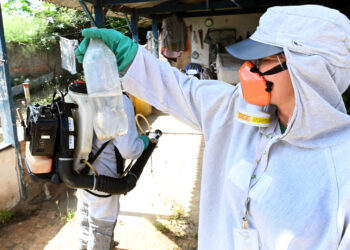 O combare à dengue exige o envolvimento de toda a população. Foto: Divulgação