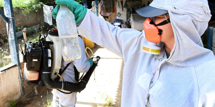 O combare à dengue exige o envolvimento de toda a população. Foto: Divulgação