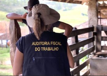 Os trabalhadores eram recurtados no Maranhão, Piauí e Bahia. Foto: Minstério do Trabalho/Divulgação