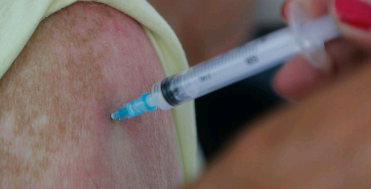 Vacinação anual passa a valer a partir de 2024 - Foto: Tânia Rêgo/Agência Brasil