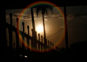 Veja como as altas temperaturas afetam o corpo e a saúde