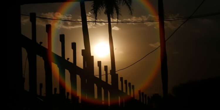 Veja como as altas temperaturas afetam o corpo e a saúde