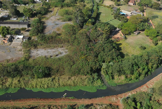 Área de Proteção Ambiental do Campo Grande: quse um quinto devastado. Foto: Arquivo
