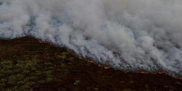 Foram registrados 71 focos de incêndio nesta quinta-feira (16) - Foto: Joedson Alves/Agência Brasil
