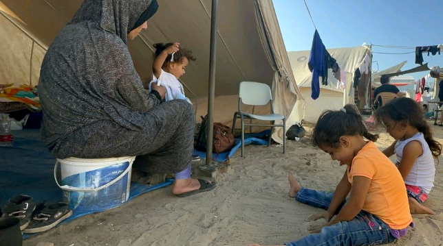 ONU marca Dia Internacional de Solidariedade com Povo Palestino