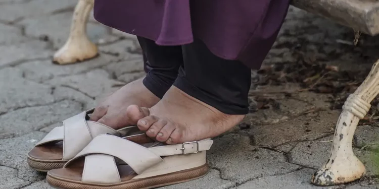 Repatriados de Gaza embarcam nesta quarta para abrigo na região de Campinas