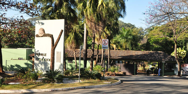 Curso “Feras de Férias no Zoo” abre inscrições a partir de 4 de janeiro
