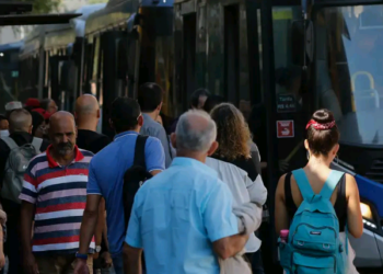 Todas as linhas de ônibus da cidade que operam aos domingos terão a passagem gratuita - Foto: Fernando Frazão/Agência Brasil