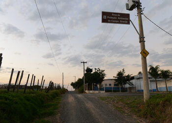 Empreendimentos imobiliários clandestinos na APA Campo Grande foram paralisados pela justiça. Foto: Arquivo