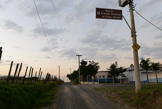 Empreendimentos imobiliários clandestinos na APA Campo Grande foram paralisados pela justiça. Foto: Arquivo