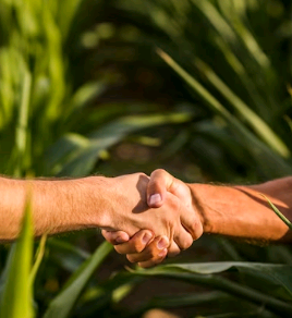 Lideranças do agronegócio realizam encontro em Jaguariúna