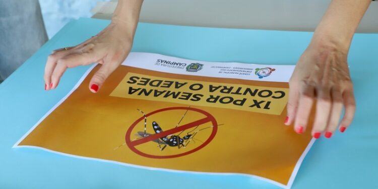 Campinas atravessa a terceira pior epidemia de dengue da história. Foto: Fernanda Sunega/PMC