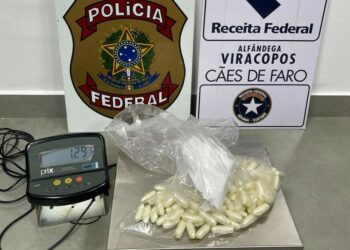 Cápsulas foram apreendidas pela Polícia Federal, em Viracopos Foto: Divulgação/Polícia Federal