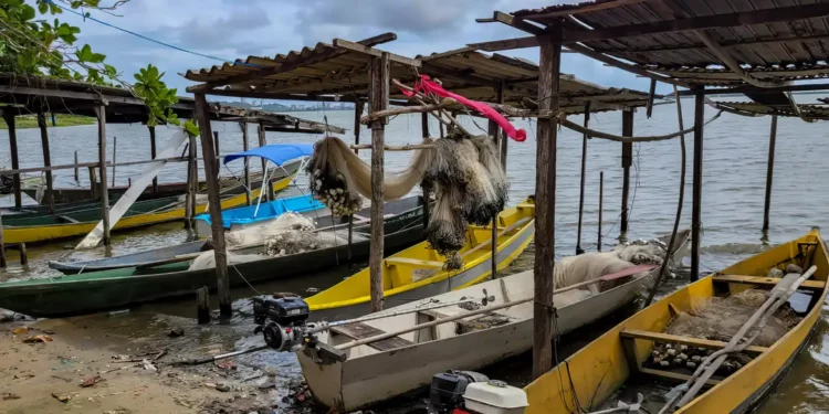 A proibição da pesca na Lagoa Mundaú trouxe desespero para ao menos 500 pescadores. Foto: Gésio Passos/Agência Brasil