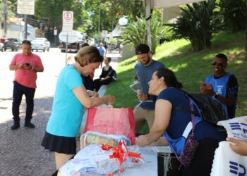 Mulher doa alimentos em ponto de coleta no Paço Municipal: resultado do mutirão foi 418% superior ao arrecadado no ano passado Foto: Divulgação
