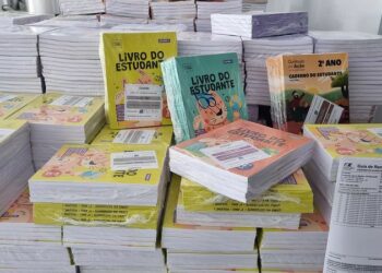 O material didático será distribuído a todas as escolas da rede com estudantes do 1° ao 5° anos. Foto: Marilia Pierre/PMA