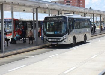 Linhas alimentadoras foram criadas em outubro e promovem integração ao BRT. Foto: Emdec/Divulgação