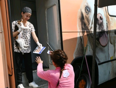 Campinas realizou mais de 26 mil atendimentos a pets durante 2023