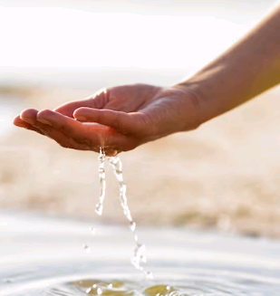 Artigo: Como a ausência de saneamento básico pode afetar o meio ambiente – por Francisco Carlos Oliver