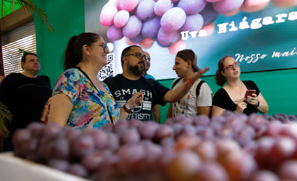 Festa da Uva começa nesta quinta-feira (11) em Jundiaí e promete agitar economia local - Foto: Divulgação