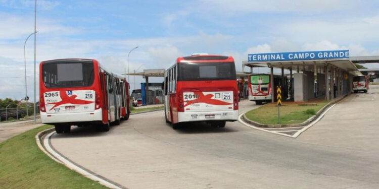 Linha vai atender aos dois terminais urbanos, fará parada nas três estações BRS. Foto: Divulgação