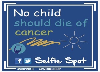 Artigo: Celebrando a alegria do viver – por Silvia Regina Brandalise