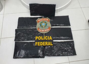 Droga estava acondicionada em fundo falso de mala despachada. Foto: Divulgação/Polícia Federal