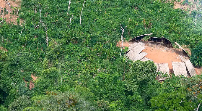 Pesquisa é do Instituto do Homem e Meio Ambiente da Amazônia - Foto: Leo Otero/MPI