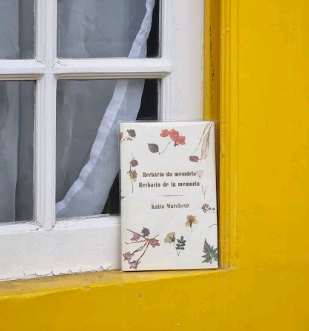 Escritora de Campinas, Katia Marchese lança livro bilíngue de poemas