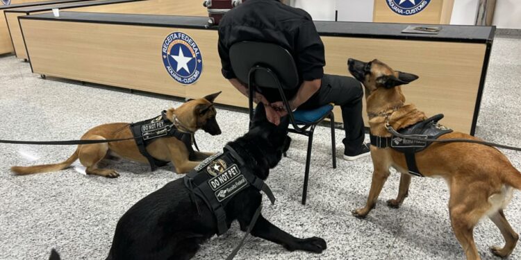 Cães da Polícia Federal cercam detido Foto: Divulgação/PF