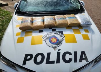 Os seis tijolos de maconha apreendidos somaram 6,4 kg da droga. Foto: Divulgação/SSP