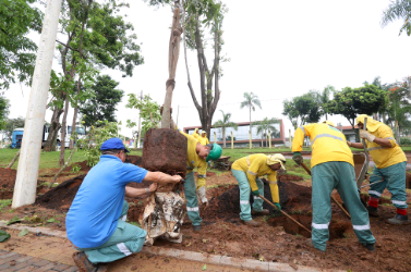 Campinas terá mais 25 equipes para fazer manejo de árvores na cidade
