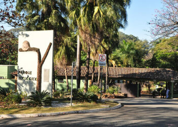 As visitas monitoradas aos Parque oferecem duas horas de atividades. Foto: Divulgação