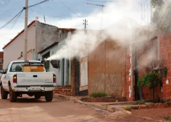 Fumacê contra a dengue: ivermectina não tem efeito sobre a dengue. Foto: Pedro Ventura/Agência Brasília