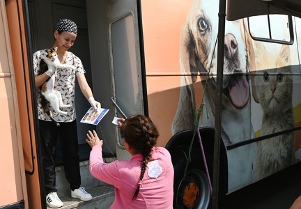 Agendamento é aberto para castração gratuita cães e gatos na região do Amarais