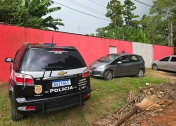 Profissional foi detido com diversos pés de maconha e cogumelos em sua residência -Foto: Divulgação/Polícia Civil