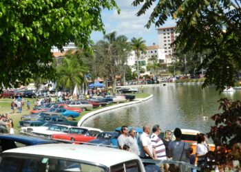 São esperados pelo menos 1.000 carros para exposição e venda no jardim da Praça Adhemar de Barros - Foto: Fabricio Junqueira/Divulgação