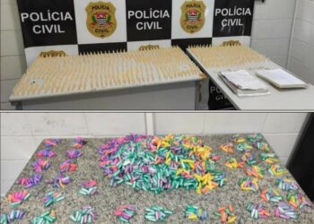 Droga com embalagens coloridas seria comercializada nos blocos de carnaval de Indaiatuba e região - Foto: Polícia Civil/Divulgação