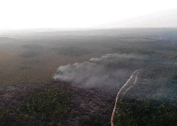 Roraima, Amazonas e Pará são os estados mais afetados. Foto: Divulgação/Brigada de Alter do Chão (PA)