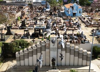 Cemitérios públicos de Campinas: histórias que resistem sob o luto e a saudade