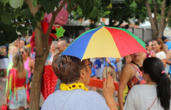 Foliã com sombrinha de frevo durante o Carnaval de Campinas Foto: Firmino Piton/PMC