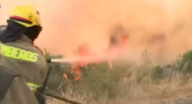 Chile: mais de 100 pessoas já morreram em incêndios