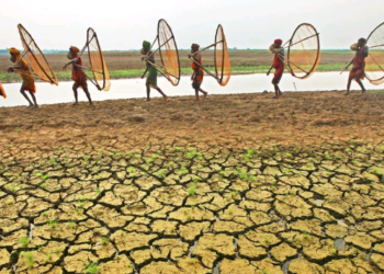 As mudanças climáticas estão provocando condições de seca em todo o mundo - Foto: ONU/Mukhopadhyay