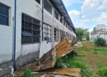 A situação do Paviartes, também conhecido como barracão de Artes Cênicas, apresenta péssimas condições de trabalho: improvisos - Fotos: Divulgação
