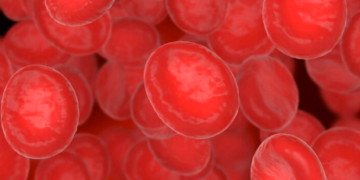 Ilustração 3D de glóbulos vermelhos - Foto: freepik