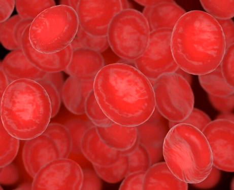 Ilustração 3D de glóbulos vermelhos - Foto: freepik